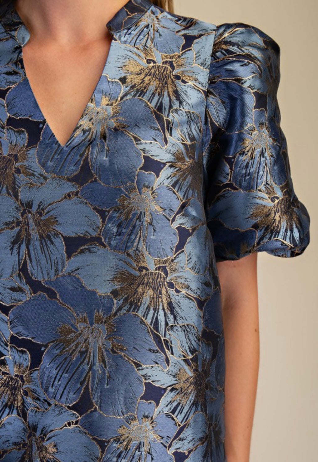 V-Neck Puff Sleeve Top in Blue & Black